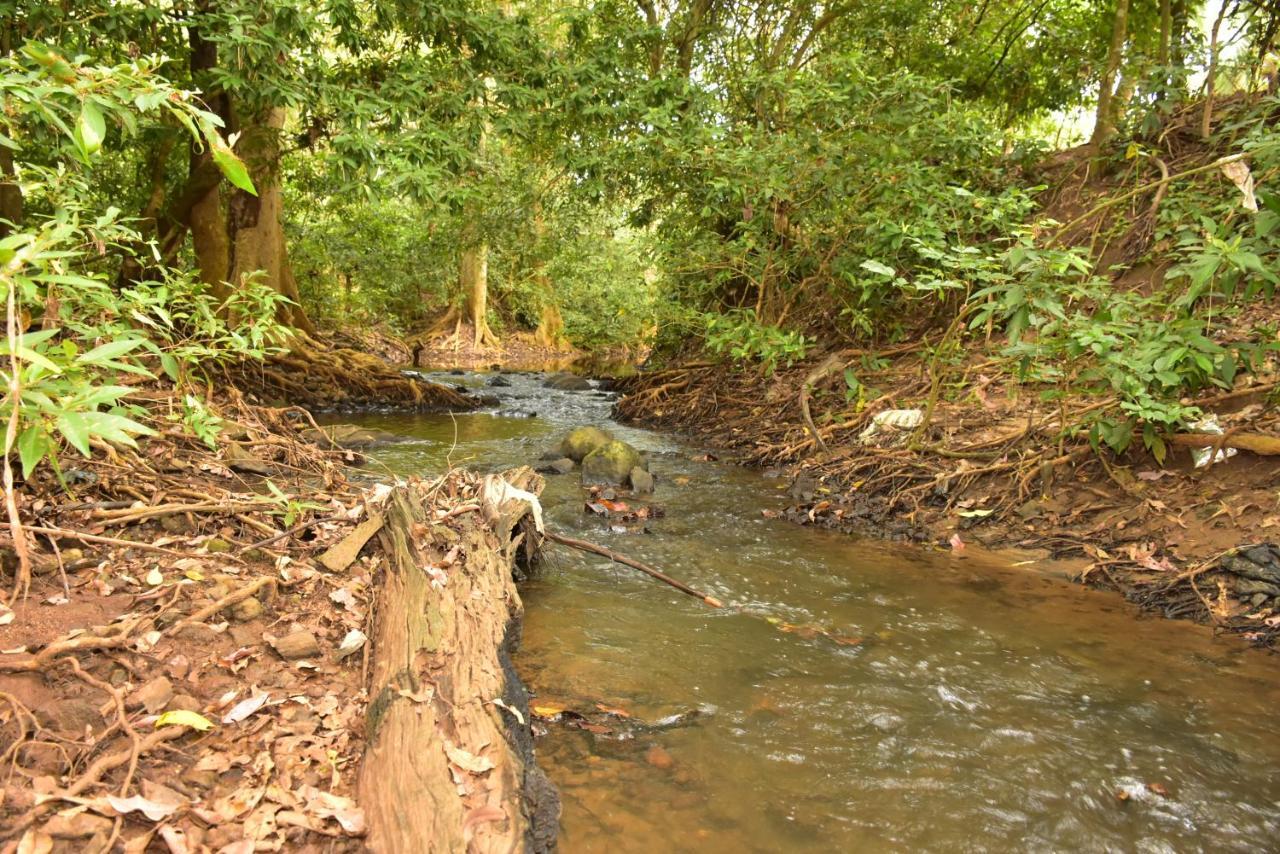 Jungle View River Camping Udawalawe Εξωτερικό φωτογραφία