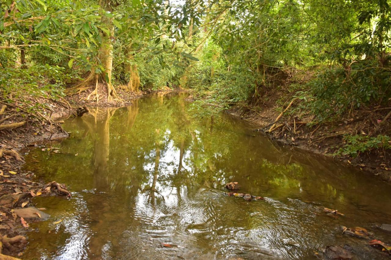 Jungle View River Camping Udawalawe Εξωτερικό φωτογραφία